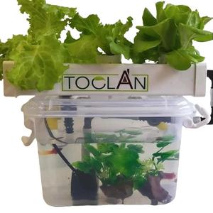 Set Akuaponik DIY Khas untuk Pelajar RBT (TOCLAN TRA3)