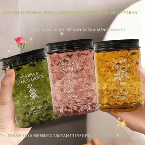 VISIONARY Butiran Pewangi AC Rumah & Mobil Tahan Lama Cocok untuk Kamar Tidur & Mandi Ekstrak Tumbuhan Murni Menghilangkan Bau Menambah Keharuman Car Verbena Lemon Grass Pressiar Camellia Lime Orange