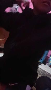 Product Review of Sweater hoodie pull bear premium gramasi 280 Pria Wanita Unisex Fleece Tebal from F**🔥 0