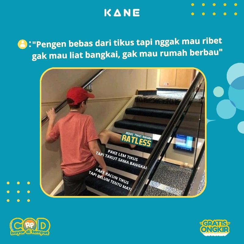 Spray Pengusir Tikus Ramah Lingkungan Semprotan Anti Tikus Rumah dan Mesin Mobil 2