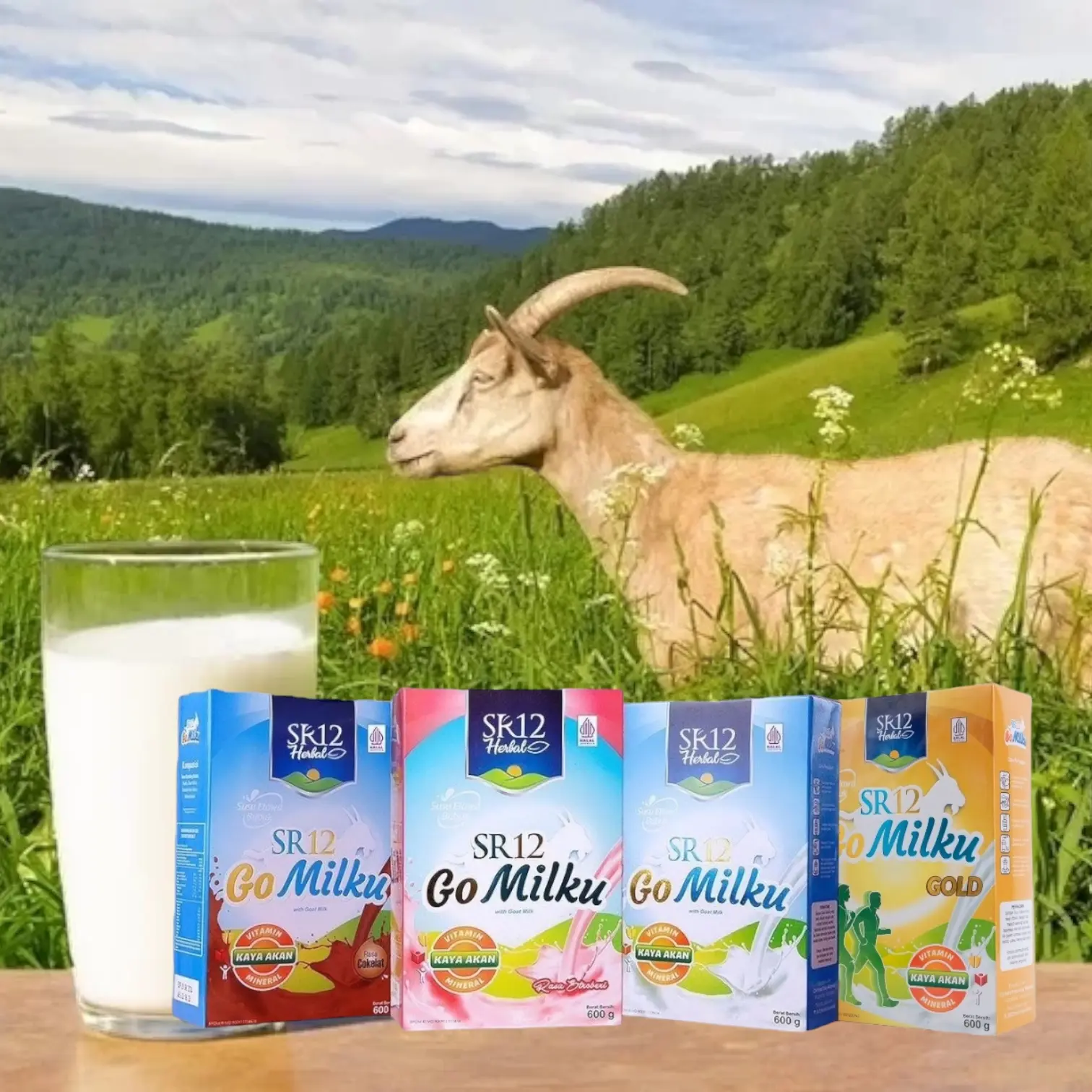GO Milku SR12 Susu Kambing Etawa 600gr untuk Membantu Mempertahankan Kesehatan Tubuh