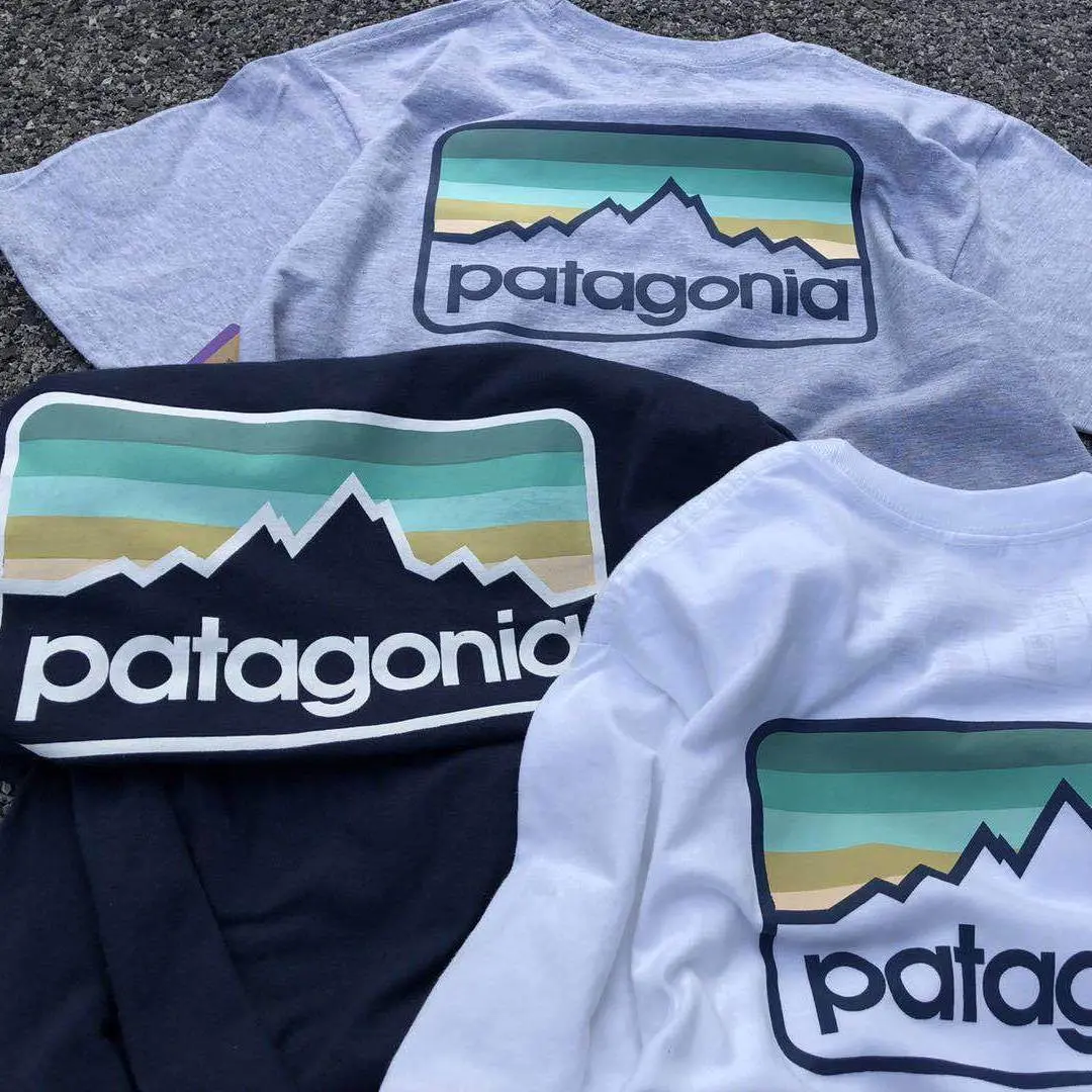 Patagonia trendy fashion casual Patagonia T-shirt/Patagonia/loose cotton short sleeved shirt
