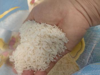 Product Review of (14KG) ข้าวจัสมินคัดพิเศษ ขนาด14โล ข้าวนาปรังพื้นนุ่ม ไม่หอมแต่นุ่มมาก ได้รับคุณภาพราคาประหยัด ตราคชทอง from @**6 1