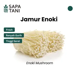 Jamur Enoki Segar 1 Pack Sapatani Jamur Renyah untuk Sup dan Hot Pot