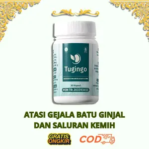 Tugingo Atasi Gejala Batu Ginjal Dan saluran kemih