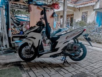 Product Review of Zaz Sticker Striping Vario New Gen 2 Design Motif 13 from m**💫 0