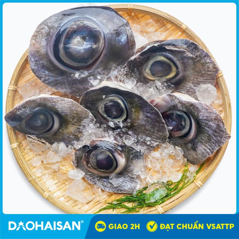 HCM - GIAO 2H Mắt Cá Ngừ - Túi 1kg - Size 3 Đến 8 Mắt - Đặc Sản Phú Yên - Đảo Hải Sản