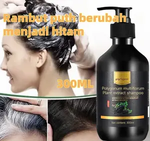 Shampo Penghilang Uban 300ml Penghitam Rambut Beruban Herbal Natural Polygonum Multiflorum Anti Ketombe Anti Rambut Rontok Dan Mengontrol Minyak Shampoo Uban Menjadi Hitam Sampo Bersihkan Haircare