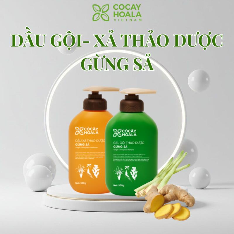 Cocayhoala Dầu Gội & Xả Thảo Dược Hữu Cơ Gừng Sả 500g Giảm Dầu Tóc Dưỡng Ẩm Tóc Hỗ Trợ Giảm Gàu Hương Thơm Tự Nhiên Gel Gội & Dầu Xả