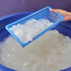 Kolang Kaling Premium Super Gemoy Besar Segar Siap Olah 1Kg Manisan Kolek Takjil dan Es Campur   ---