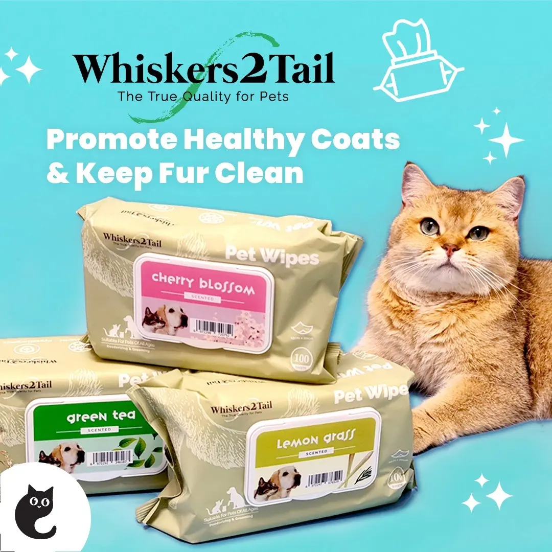 Whiskers2Tail Pet Wipes 100's (Bundle of 6)