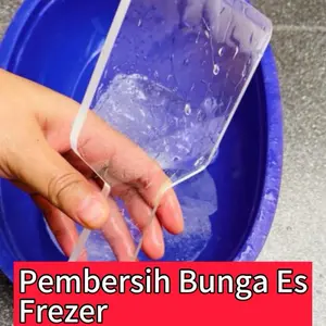 pembersih bunga es freezer - ice scraper