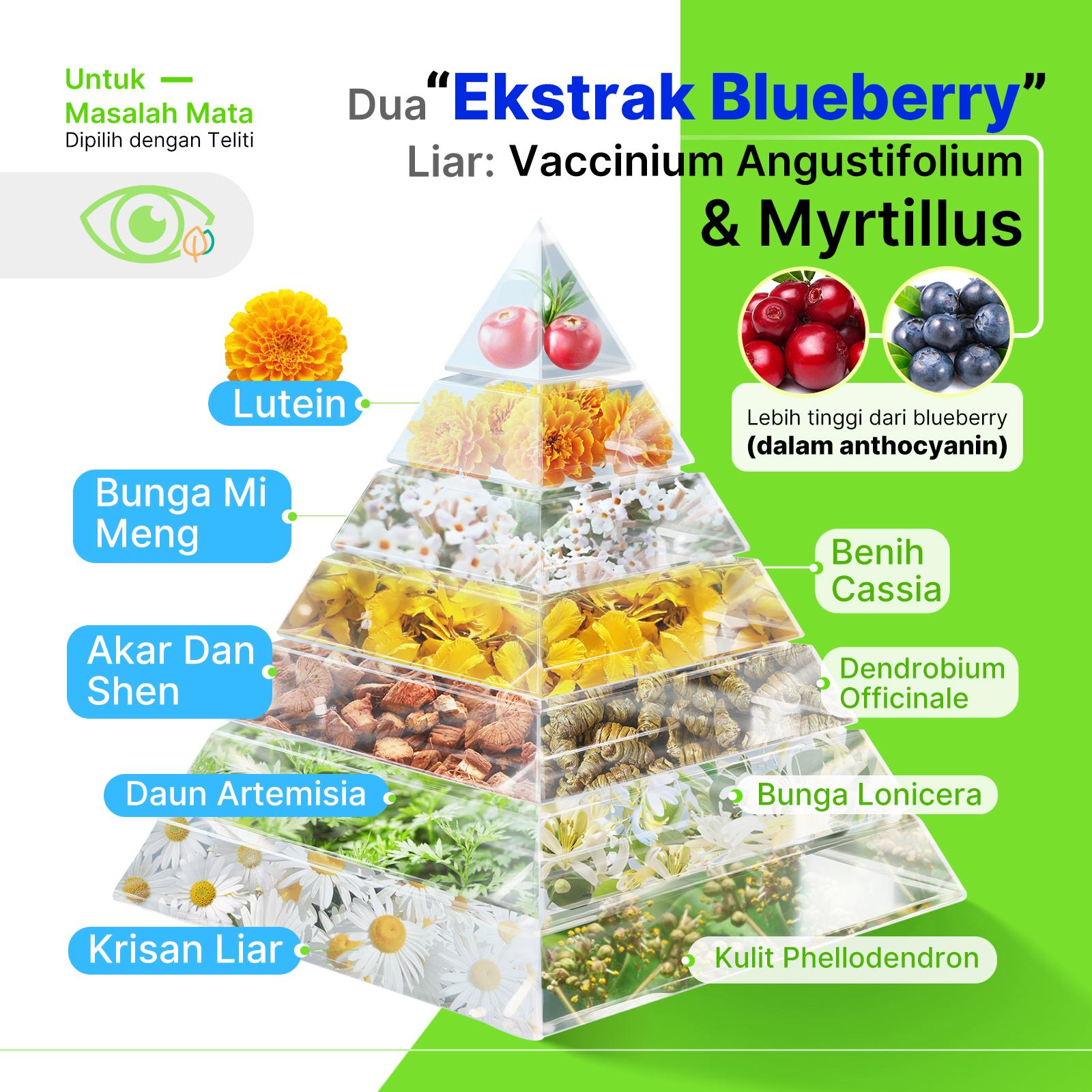 Blueberry Eye Patches - Blueberry Lutein Anti-Fatigue Eye Patches, dibuat dengan ekstrak herbal alami- 5 Patch Per Kemasan
