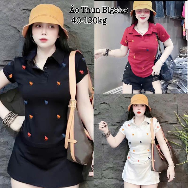Áo Thun Nữ Bigsize Cổ Bẻ Vạt Bầu in Hình Chất Gân Tăm Co Giãn Xinh Đẹp Hot Hit Chuppy Dễ Thương Ôm Gọn Tôn Dáng Giá Rẻ Freesize 40-120kg 2473 Top Nữ Màu Xám Màu Đen Áo Croptop Áo Polo Áo Suit Áo Phông Nữ Women Màu Đỏ