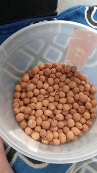Product Review of SNACK KACANG TELUR ISI 1KG Cemilan Food  Camilan from m** l**e 0