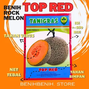 Benih Melon TOP RED F1 Oranye Orange Rock Melon dari Tanigrass - Isi +-500 Butir