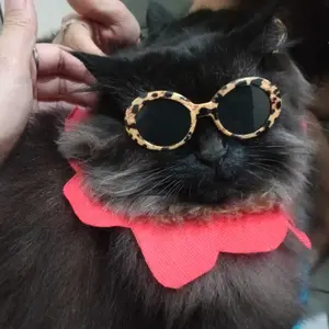 (KM47) Kacamata Hewan Peliharaan Warna Hitam Model Mata Kucing Anjing