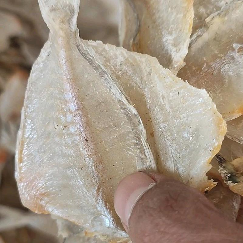 ikan asin kapasan / asin kerupuk (semi asin) kering 1