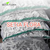 Gambar [INSTAN] Batu Alam Karang Jahe Media Aquarium Filter Kemasan Karungan Via INSTAN dari Setia Flora Kota Administrasi Jakarta Selatan 2 Tokopedia
