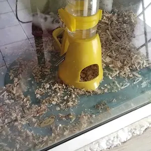 Tempat Makan Minum Hamster Bottle Stand Multifungsi Tempat Minum Dan Makan Hamster