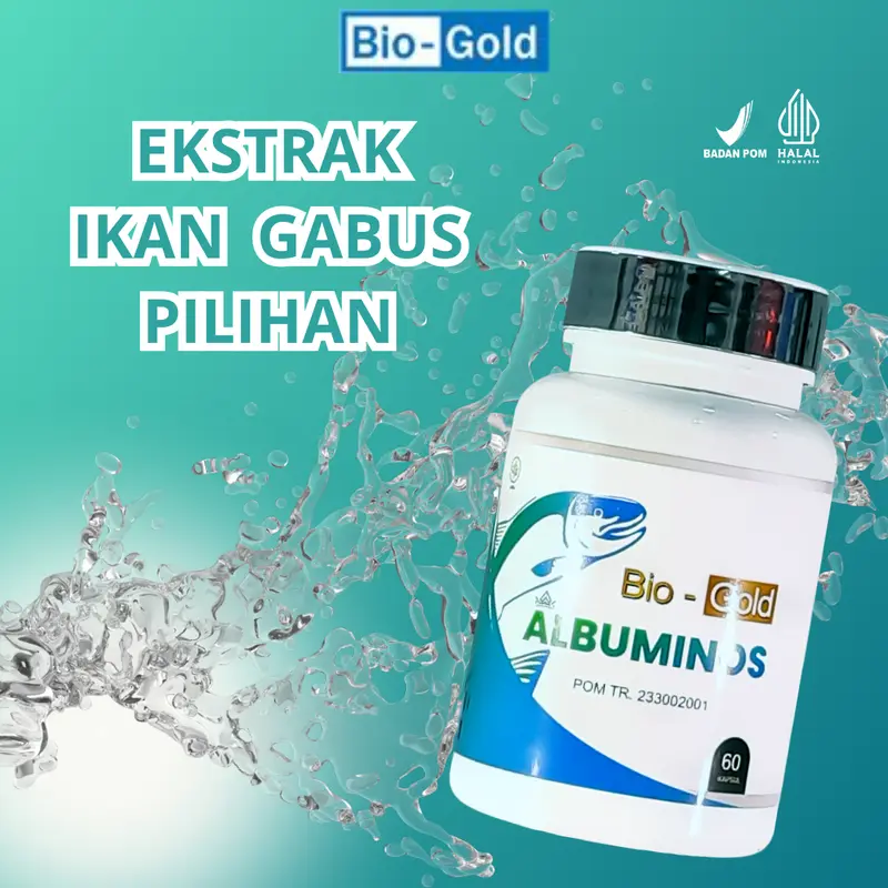 Bio Gold - Albuminos Ekstrak Channa Striata Ikan Gabus Bantu Luka Operasi Cepat Kering BPOM 3