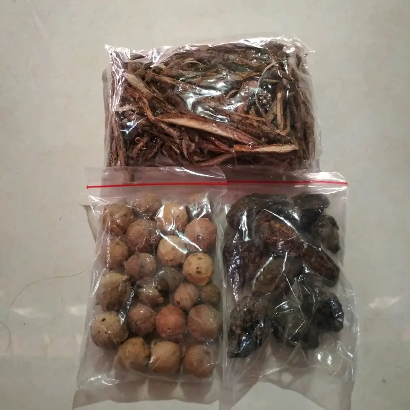 Tempuyang Kayu Rapet dan Majakani/paket 3 in 1 berat 150 gram Tea 0