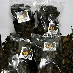 KETAPANG KERING OLAHAN SUPER PEKAT KUALITAS PREMIUM 100% LUMER BY SNAKEHEAD CULTURE