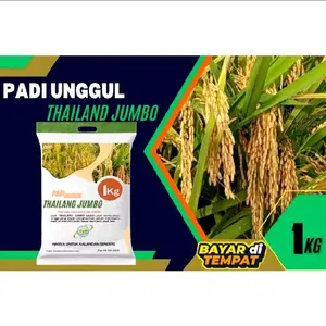 padi unggul terbaik Thailand jumbo aromatik 1kg
