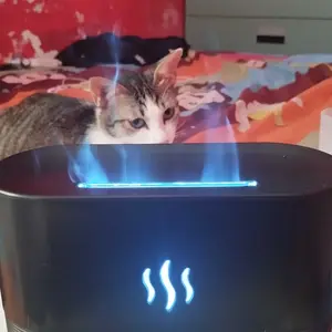 Flame Aroma Diffuser Ultrasonic Air Humidifier Alat Pengharum Ruangan Rumah Kamar.