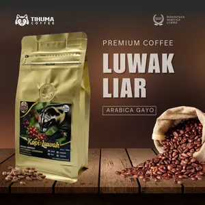 Kopi Luwak Liar Gayo Arabica Asli – Tihuma Coffee Premium Quality