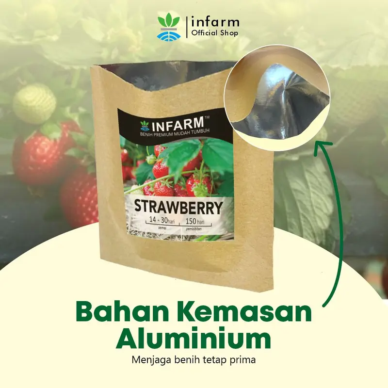 Benih tanaman Buah Strawberry isi 50 butir  Infarm 2