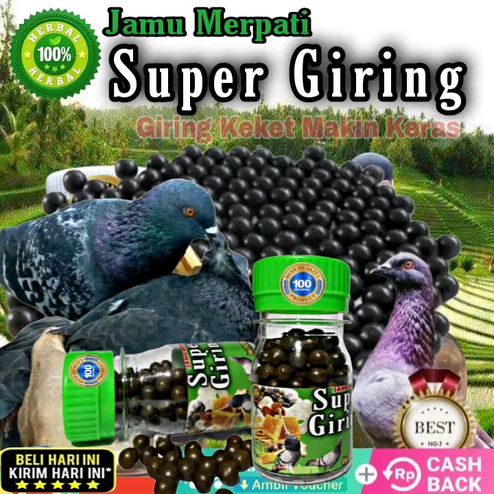 PROMO !!! 120 BUTIR PIL HITAM JAMU MERPATI SUPER GIRING KERAS paling ampuh, jamu ginseng teki liur walet 5