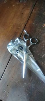 Product Review of MB J2 420 Professional barber scissors, Gunting rambut 6 inchi 02BS Silver from W**E B**P 0