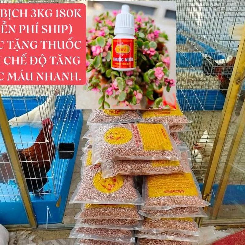 3kg Ngũ Cốc Pha Mồi Ép Viên cho gà chế độ