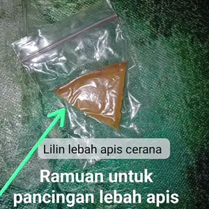 pancingan atw ramuan pemancing lebah agar cpt di huni n di datangi lebah .sudah terbukti cpt di huni karna ada aroma lilin lebah yg ada di dlm kebakan glodok n stup yg telah di oleskan pada pintu n bagian dlm glodok