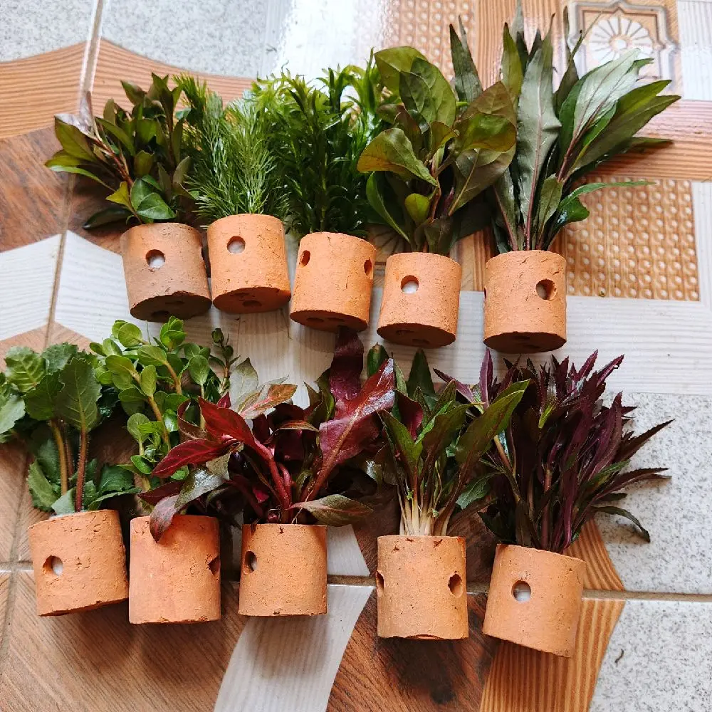 tanaman sintetis 10 pot paket rendom tanaman aquascape
