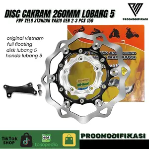 piringan cakram disc vietnam 260mm lobang 5 vario 125/150