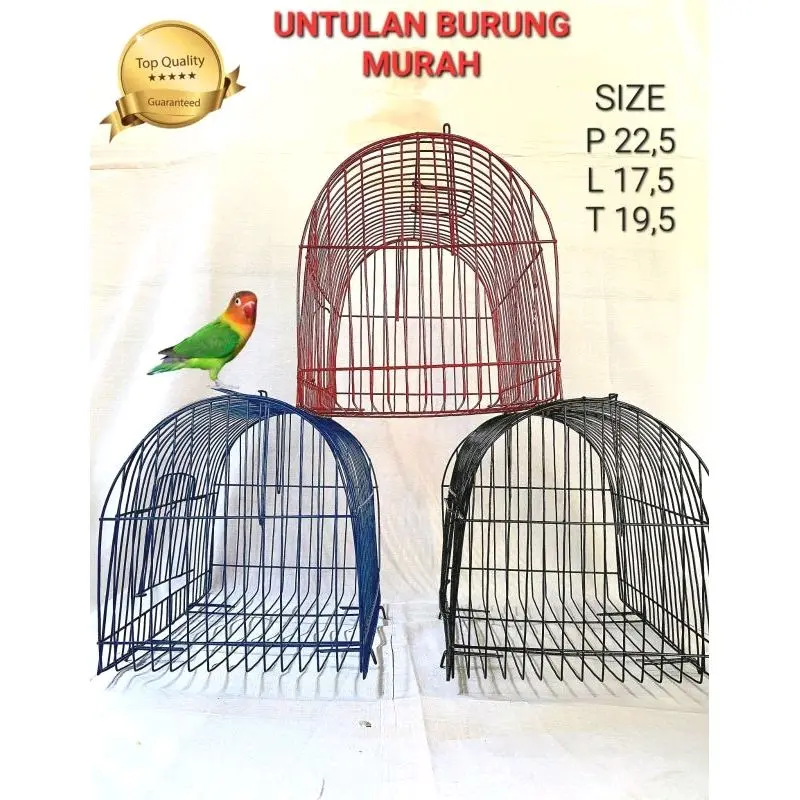 kandang untulan burung murah dan berkualitas