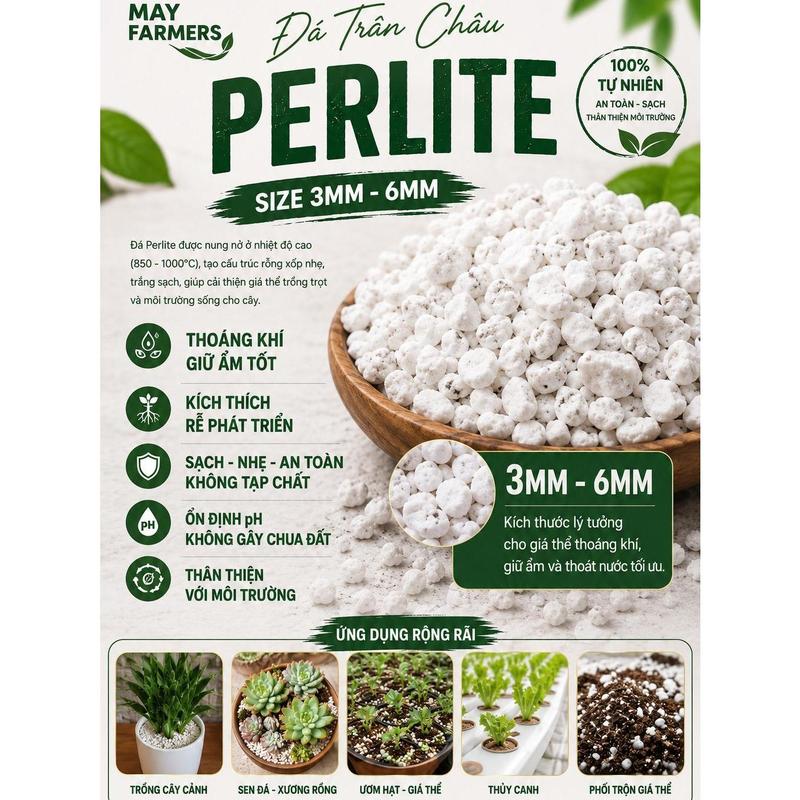 Đá PERLITE - Đá TRÂN CHÂU Làm Giá Thể Cho Kiểng Lá - Hoa Lan - Sen Đá...
