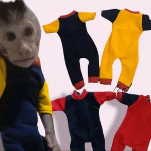 baju hewan monyet peliharaan model jumper kombinasi