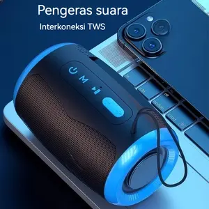 TSN-1 Portable Speaker 5.3 Stereo Wireless Bluetooth Speaker Bass Mini Audio