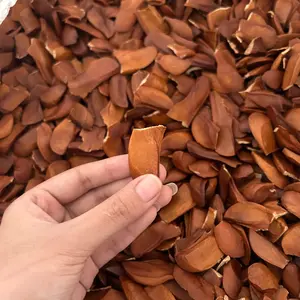 MAHONI KULIT GRADE A | LAM88