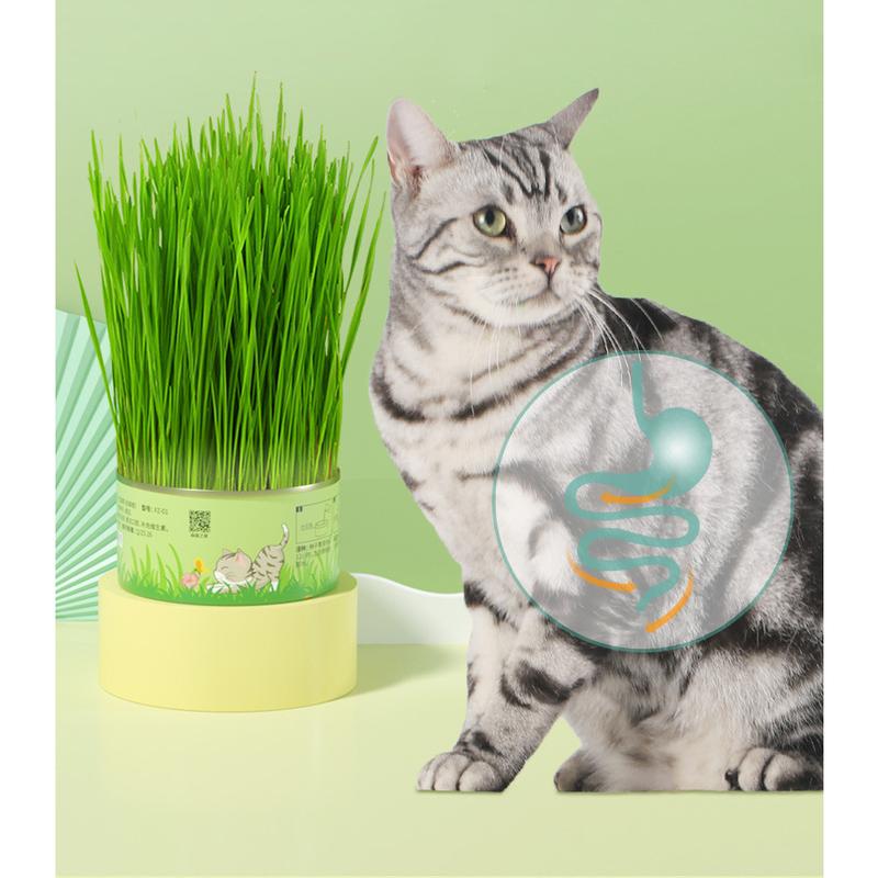 SunSun Easy to Grow Wheat Grass Canned Hairball Control Pet Cat SnackTreat No Soil Kit 2