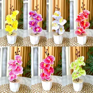 Bunga Anggrek tunggal dekorasi
