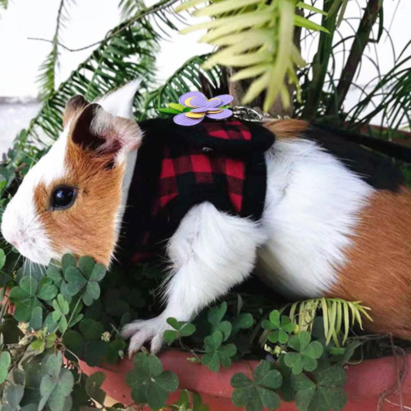 CS Adjustable Guinea Pig Harness Leash Set Outdoor Traction Rope for Hamster Chinchilla Mice Rat Ferret Rabbit Small Animal Accessories #436313 4