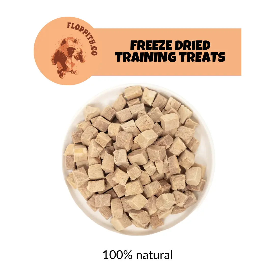 Floppityco Dog and Cat Training Treats - Premium Freeze Dried Training Bites Cubes