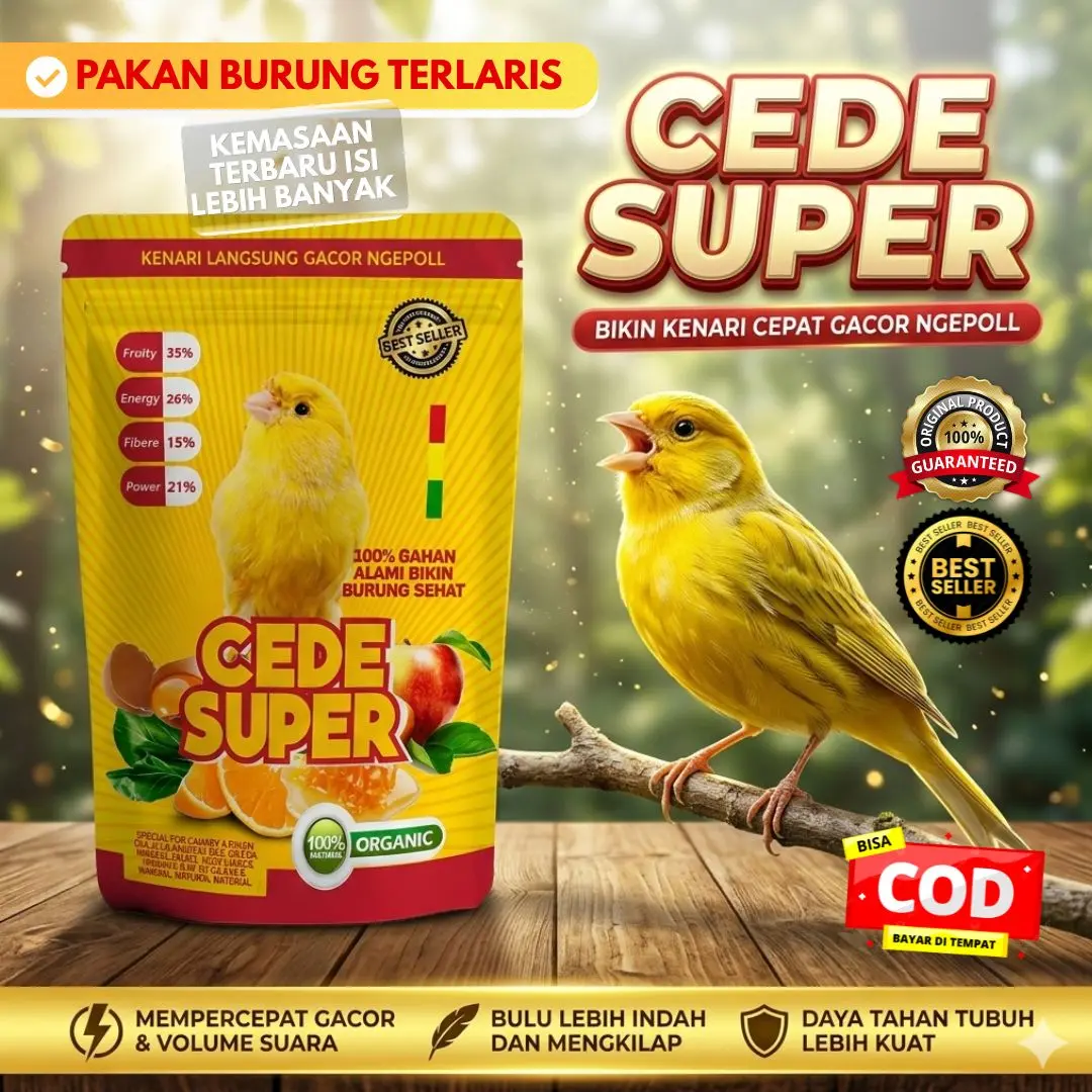 CEDE SUPER PENGGACOR KENARI RAJIN BERKICAU
