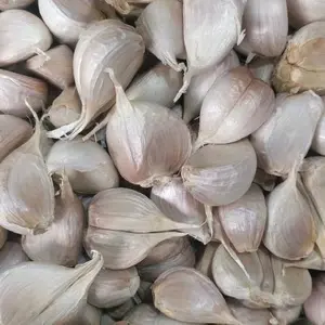 Bawang Putih Kating Super Bersih Termurah 500 Gram - Kecombrang