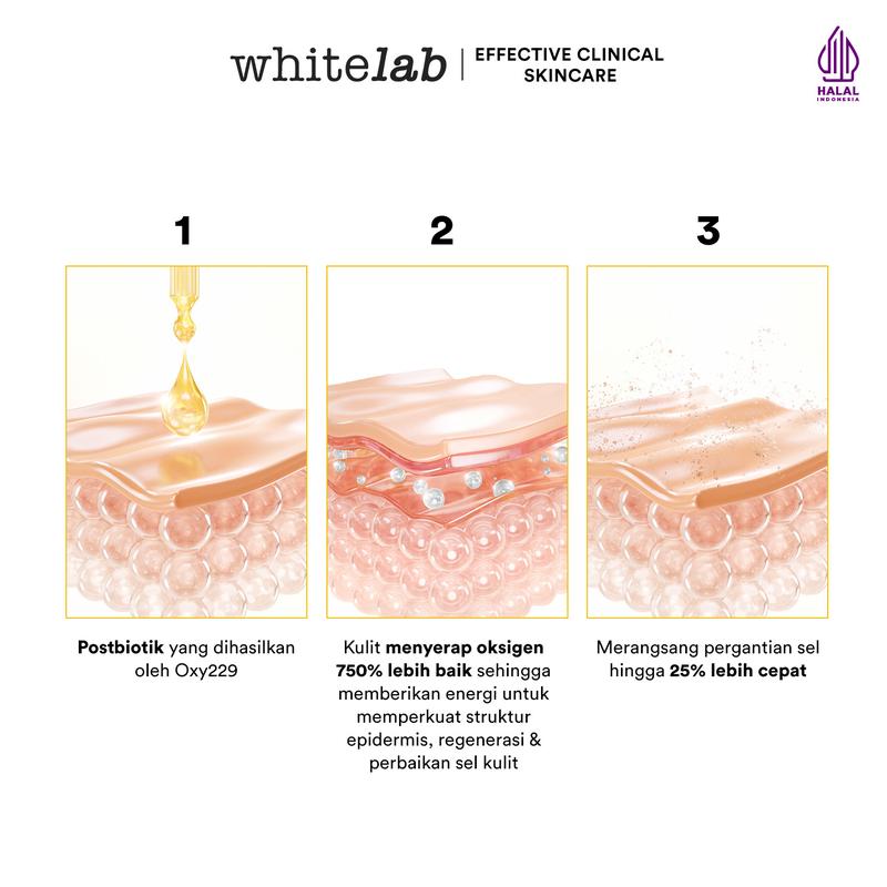[RACUNINSKINCARE] - Whitelab [UPGRADE] N10-Dose+ Brightening Serum Niacinamide 10% - Perawatan Mencerahkan Wajah Kusam 6