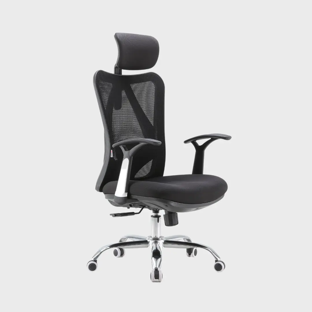 M16 Basic Office Ergonomic Chair with Adjustable Lumbar Support and Reclining Backrest